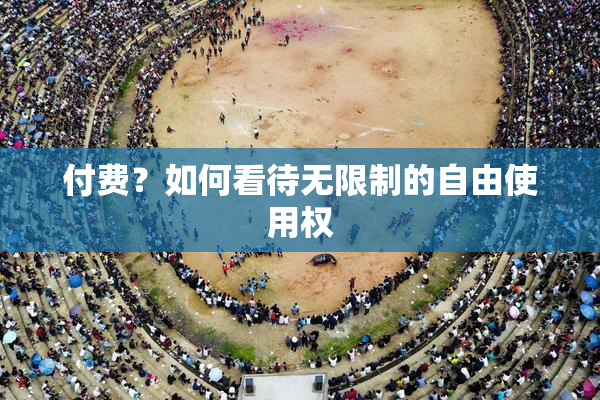 付费？如何看待无限制的自由使用权