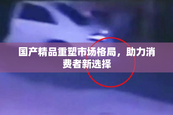 国产精品重塑市场格局，助力消费者新选择