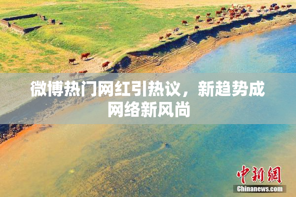 微博热门网红引热议，新趋势成网络新风尚
