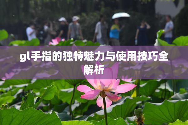 gl手指的独特魅力与使用技巧全解析