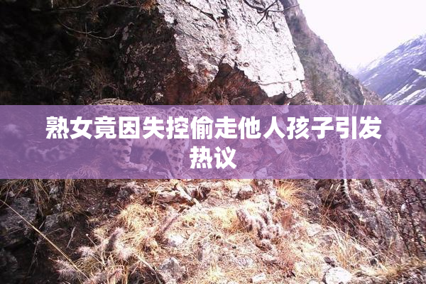 熟女竟因失控偷走他人孩子引发热议