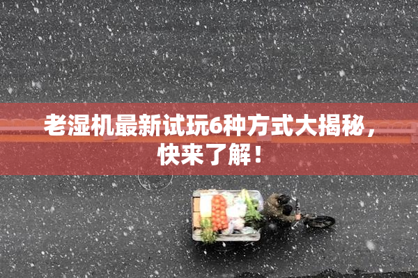 老湿机最新试玩6种方式大揭秘，快来了解！