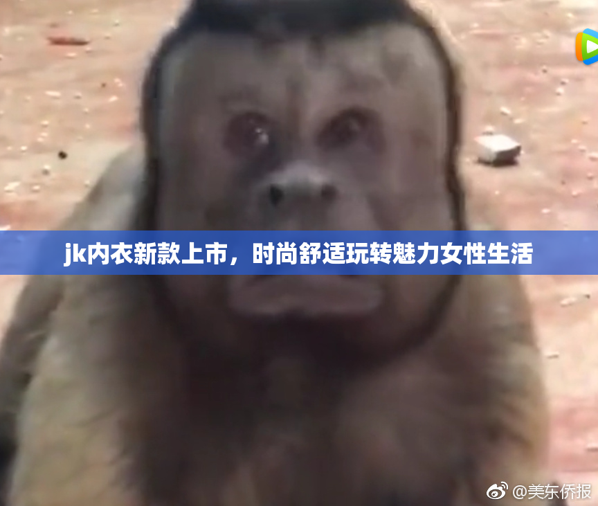 jk内衣新款上市，时尚舒适玩转魅力女性生活