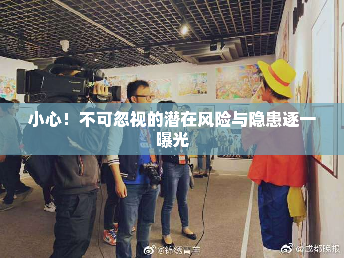 小心！不可忽视的潜在风险与隐患逐一曝光