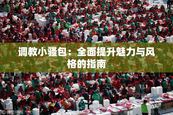调教小骚包：全面提升魅力与风格的指南