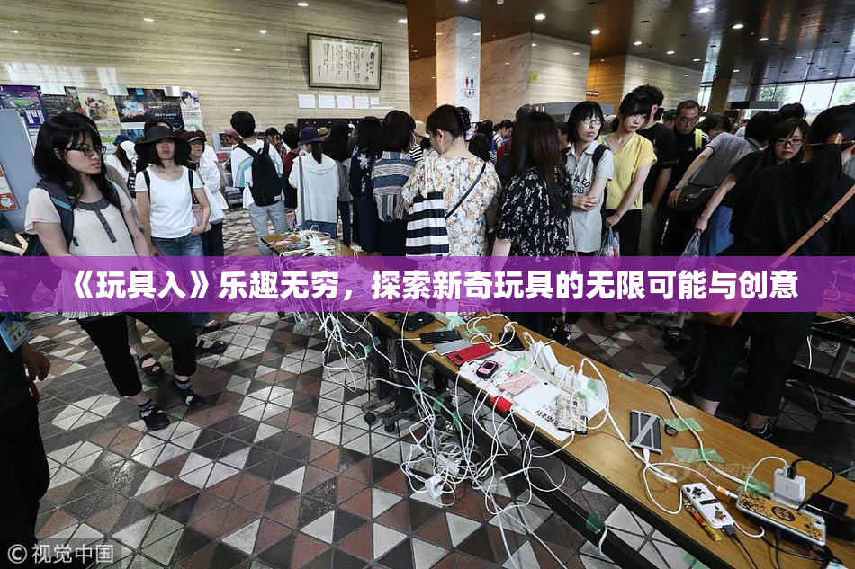 《玩具入》乐趣无穷，探索新奇玩具的无限可能与创意