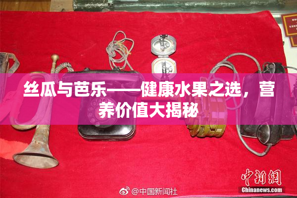 丝瓜与芭乐——健康水果之选，营养价值大揭秘