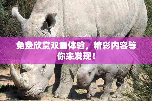 免费欣赏双重体验，精彩内容等你来发现！