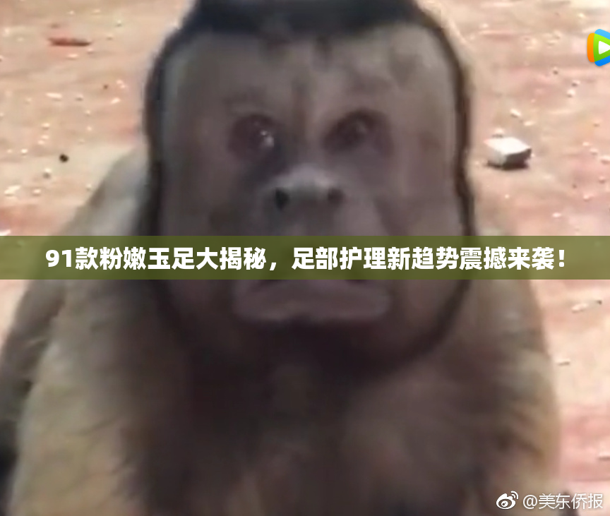 91款粉嫩玉足大揭秘，足部护理新趋势震撼来袭！