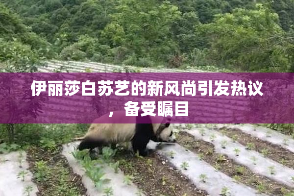 伊丽莎白苏艺的新风尚引发热议，备受瞩目