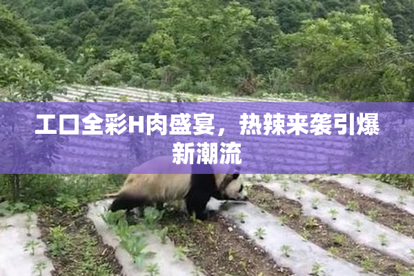 工口全彩H肉盛宴，热辣来袭引爆新潮流