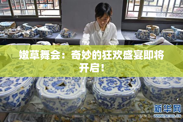 嫩草舞会：奇妙的狂欢盛宴即将开启！