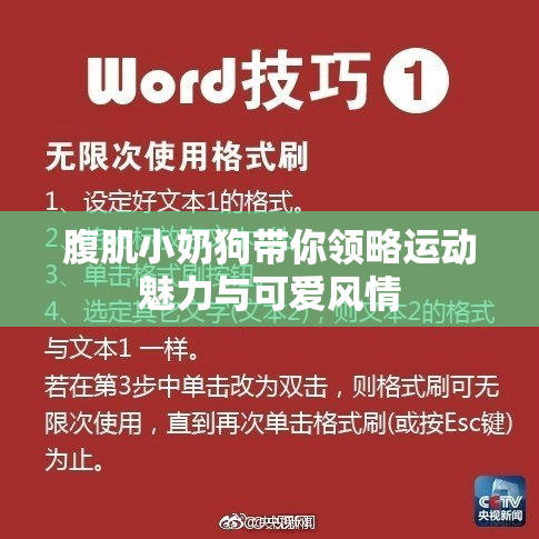 腹肌小奶狗带你领略运动魅力与可爱风情