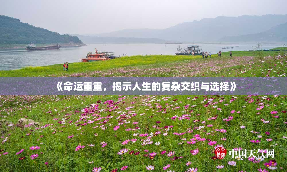 《命运重重，揭示人生的复杂交织与选择》