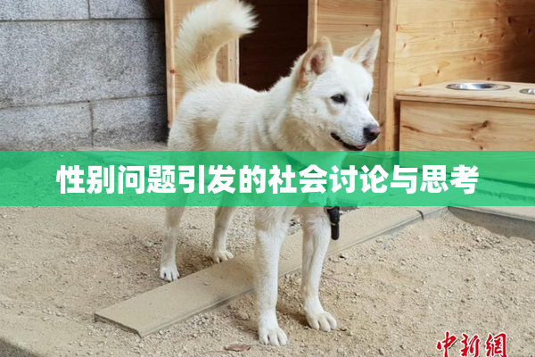 性别问题引发的社会讨论与思考