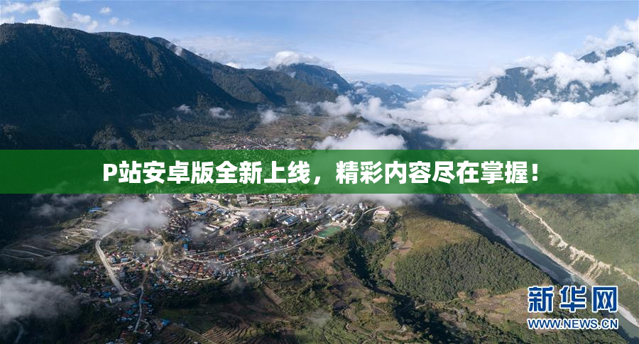 P站安卓版全新上线，精彩内容尽在掌握！