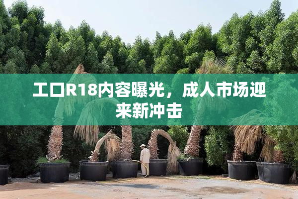工口R18内容曝光，成人市场迎来新冲击
