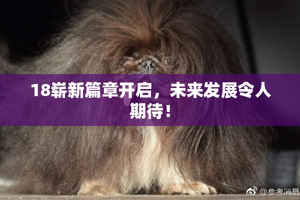 18崭新篇章开启，未来发展令人期待！
