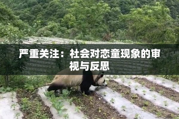 严重关注：社会对恋童现象的审视与反思