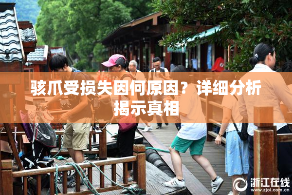 骇爪受损失因何原因？详细分析揭示真相
