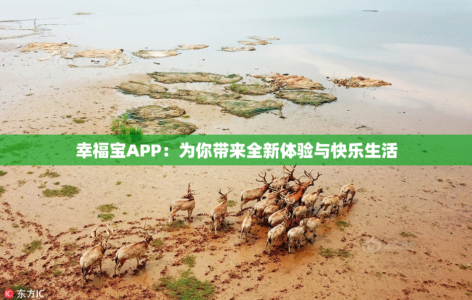 幸福宝APP：为你带来全新体验与快乐生活