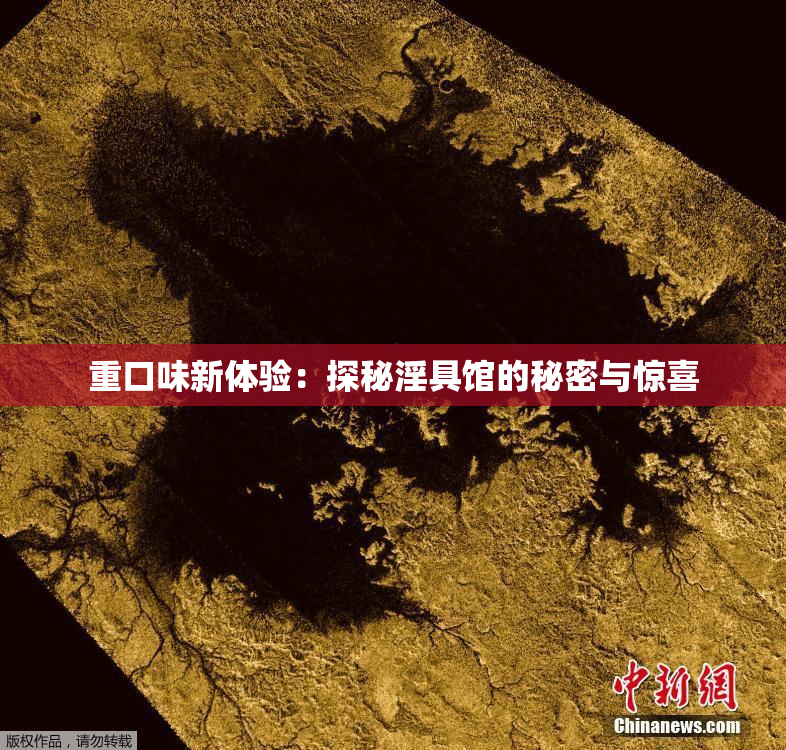 重口味新体验：探秘淫具馆的秘密与惊喜