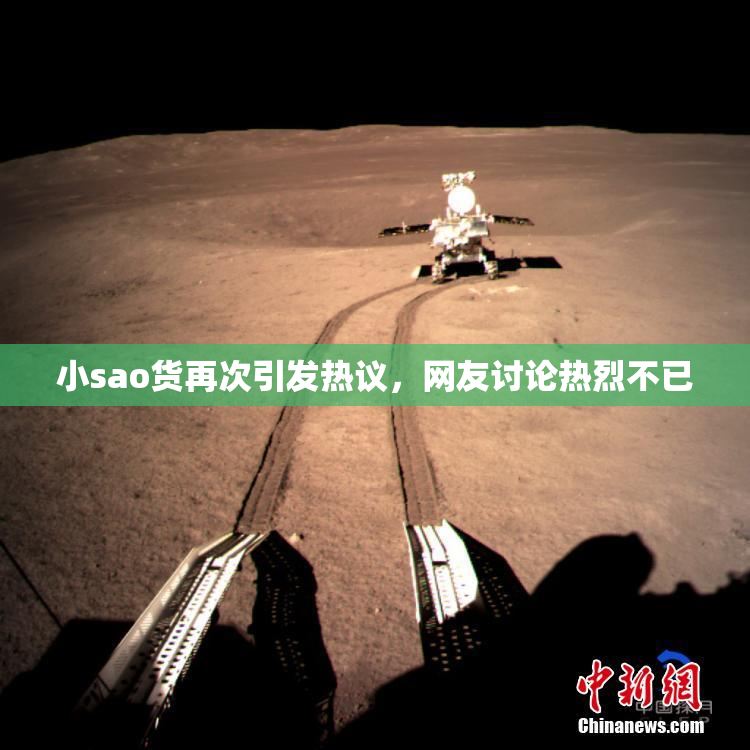 小sao货再次引发热议，网友讨论热烈不已