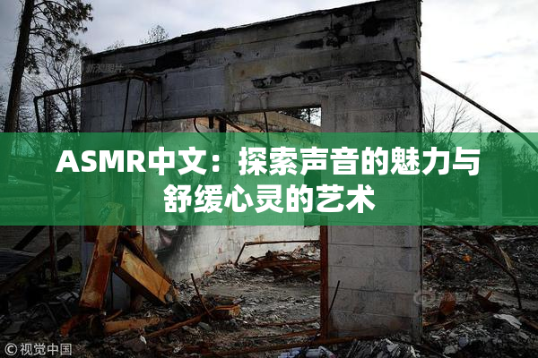 ASMR中文：探索声音的魅力与舒缓心灵的艺术
