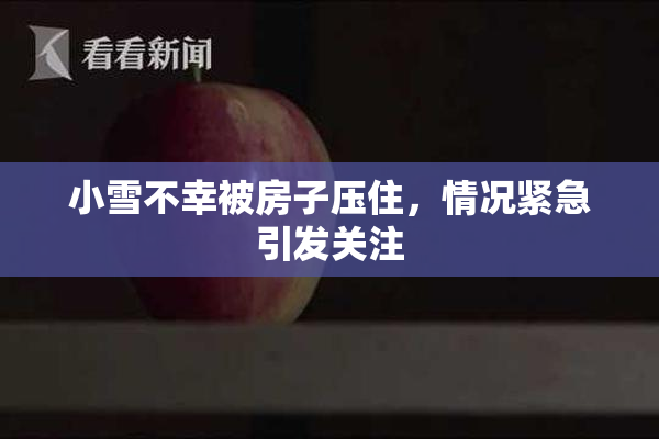 小雪不幸被房子压住，情况紧急引发关注