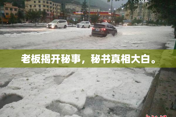 老板揭开秘事，秘书真相大白。