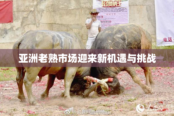 亚洲老熟市场迎来新机遇与挑战