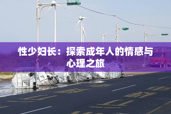 性少妇长：探索成年人的情感与心理之旅