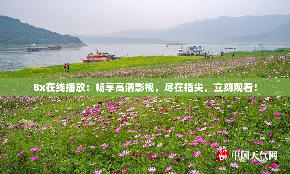 8x在线播放：畅享高清影视，尽在指尖，立刻观看！