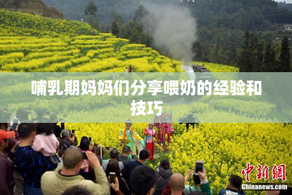 哺乳期妈妈们分享喂奶的经验和技巧