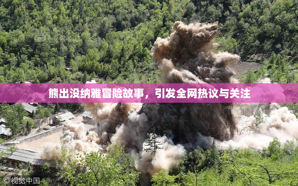 熊出没纳雅冒险故事，引发全网热议与关注