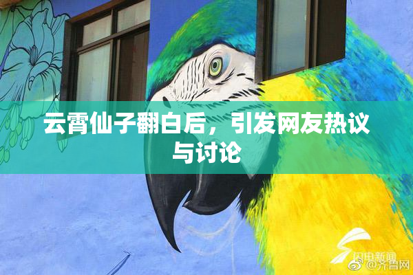 云霄仙子翻白后，引发网友热议与讨论