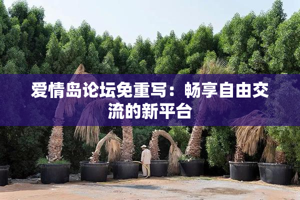 爱情岛论坛免重写：畅享自由交流的新平台