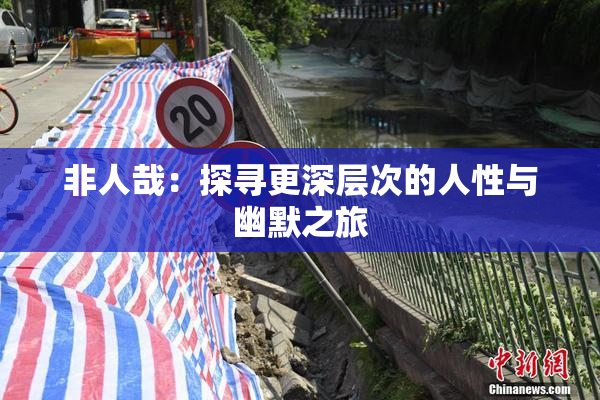 非人哉：探寻更深层次的人性与幽默之旅