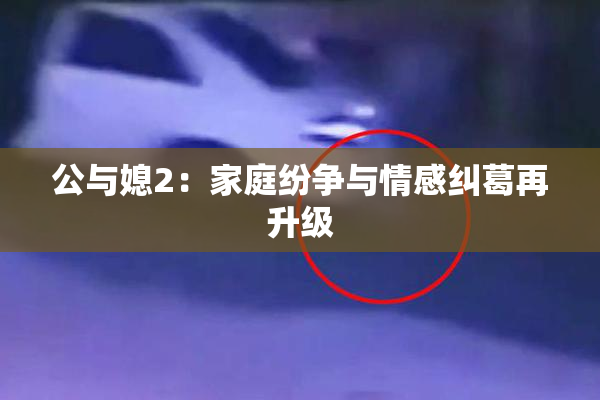 公与媳2：家庭纷争与情感纠葛再升级