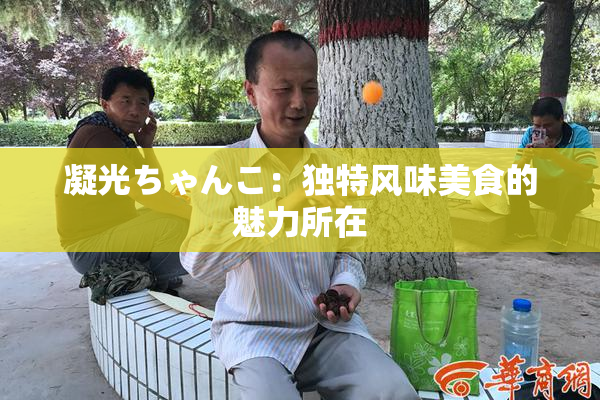 凝光ちゃんこ：独特风味美食的魅力所在