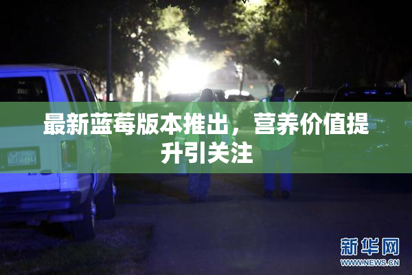 最新蓝莓版本推出，营养价值提升引关注