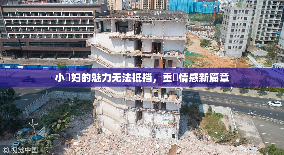 小婬妇的魅力无法抵挡，重啟情感新篇章