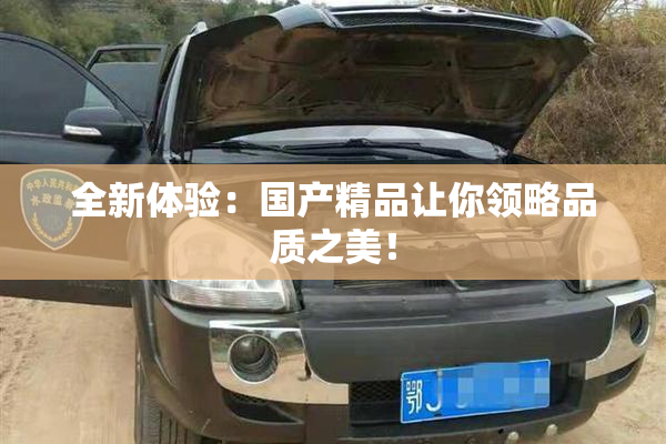 全新体验：国产精品让你领略品质之美！