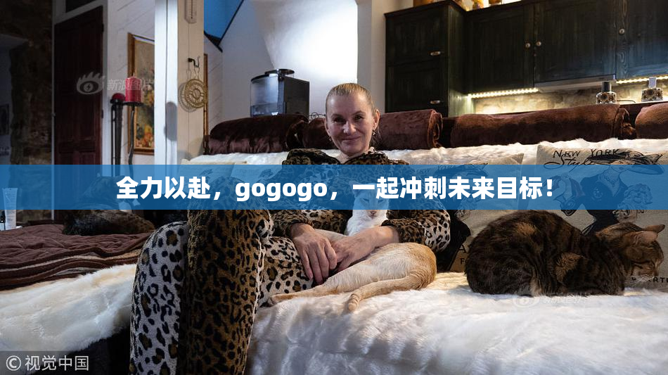 全力以赴，gogogo，一起冲刺未来目标！