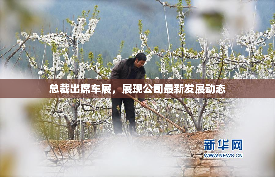 总裁出席车展，展现公司最新发展动态