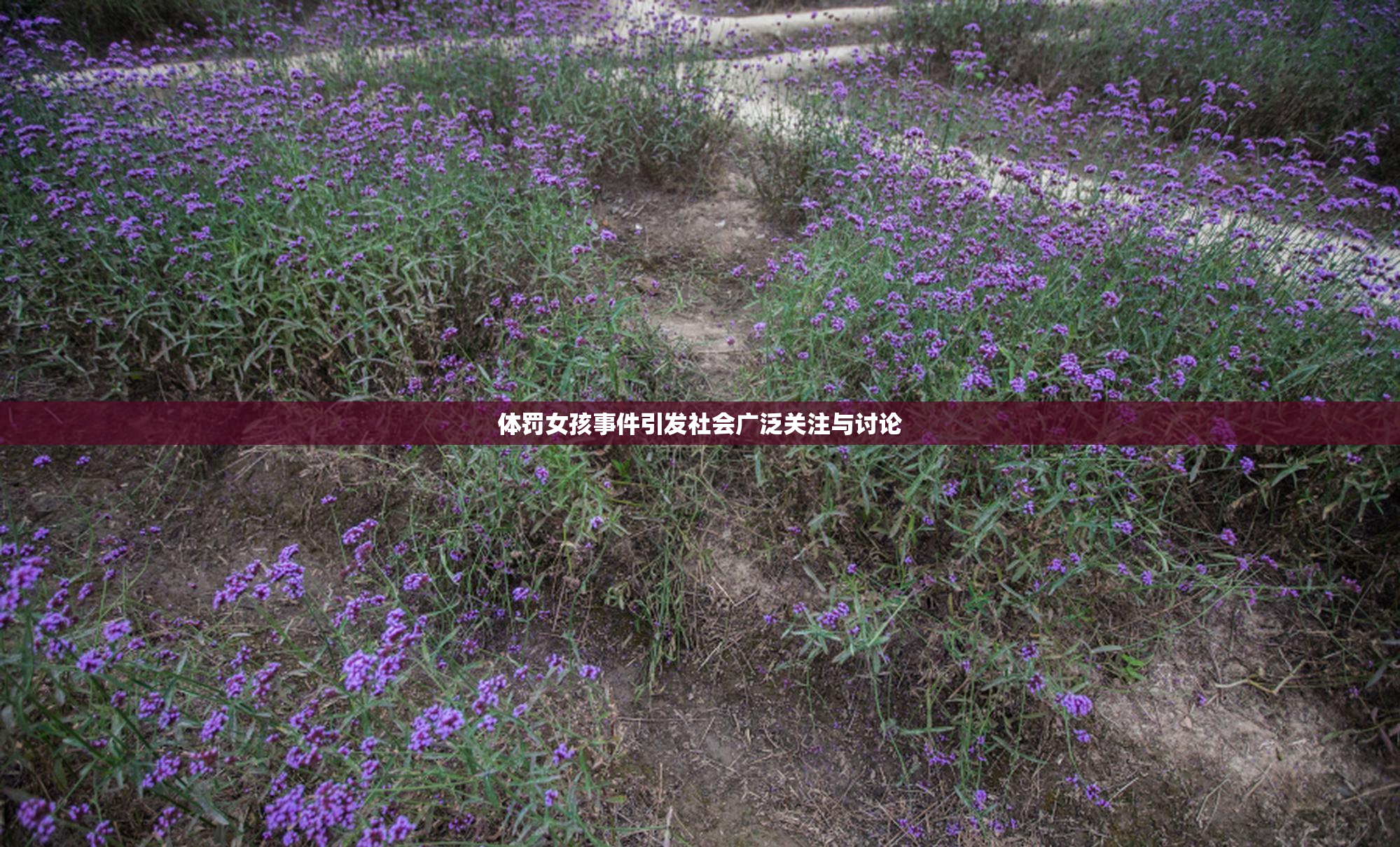 体罚女孩事件引发社会广泛关注与讨论