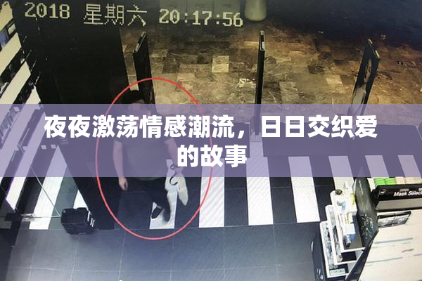 夜夜激荡情感潮流，日日交织爱的故事