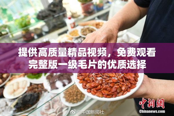 提供高质量精品视频，免费观看完整版一级毛片的优质选择