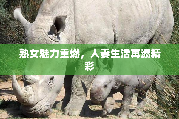 熟女魅力重燃，人妻生活再添精彩