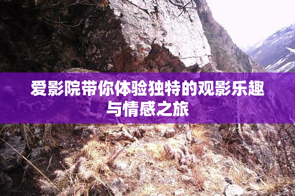 爱影院带你体验独特的观影乐趣与情感之旅